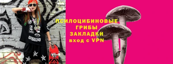 винт Верея