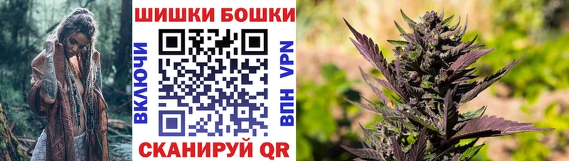 Купить закладки  Кадников  Бошки Шишки сатива 